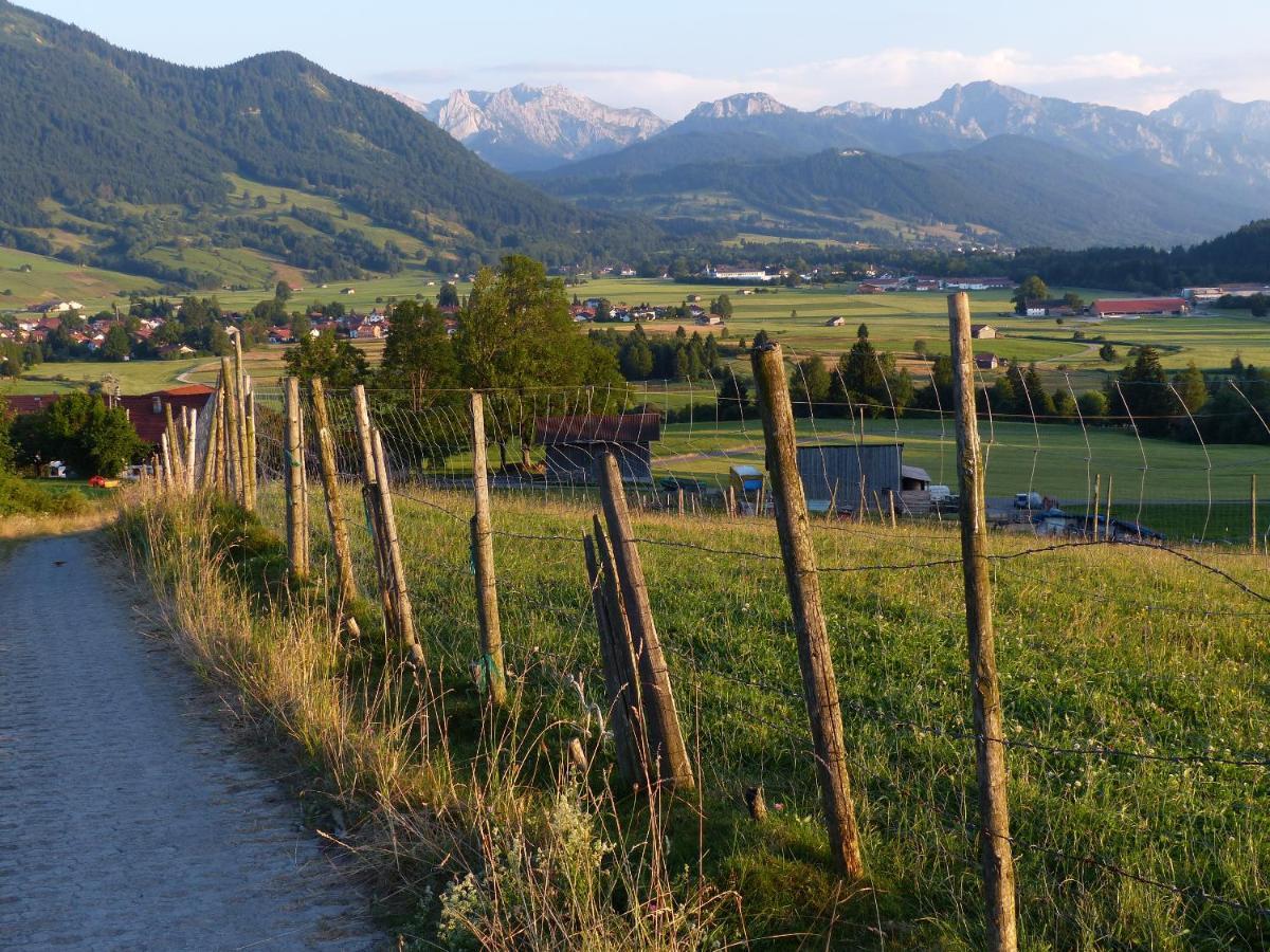 Happy Place Pusteblume * Halblech