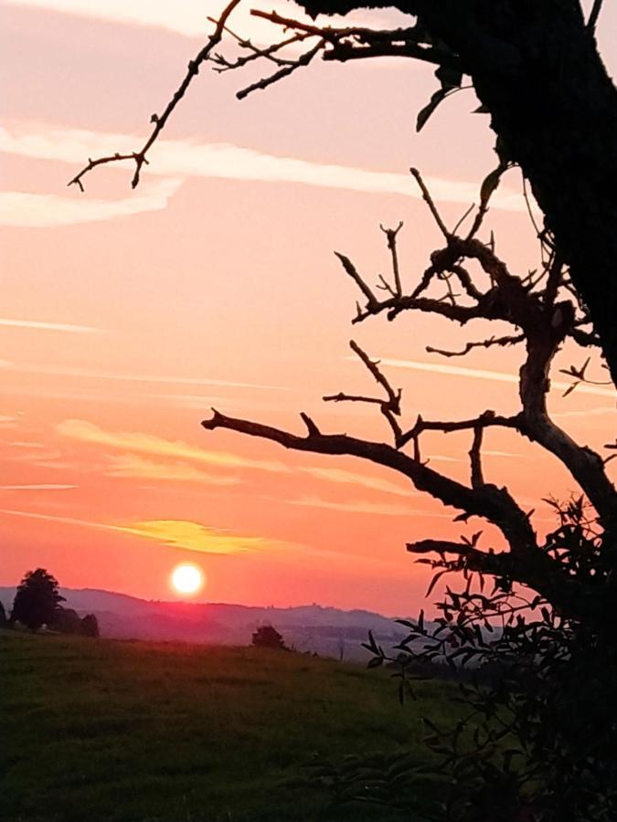 Apartament Happy Place Pusteblume Halblech