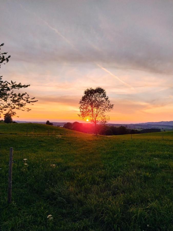 Happy Place Pusteblume *