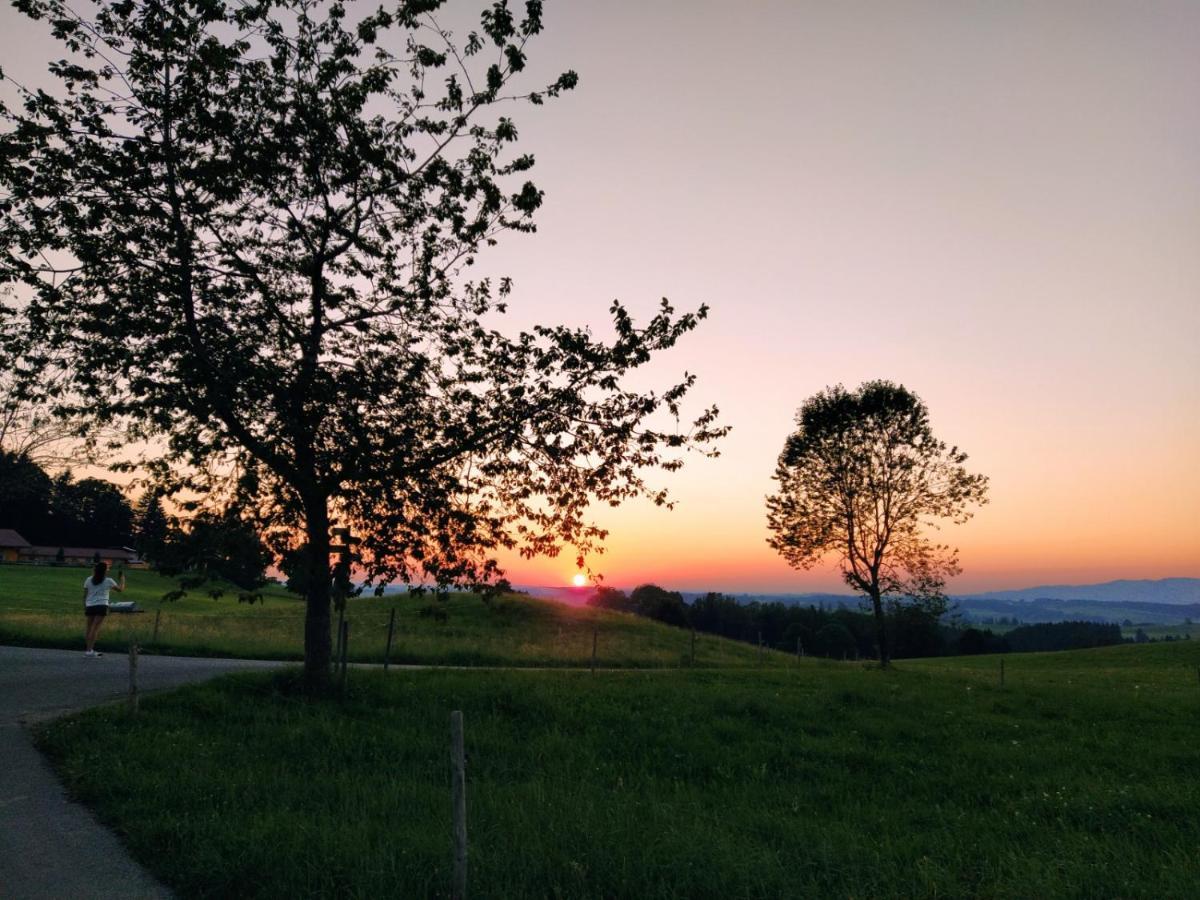 Happy Place Pusteblume * Halblech